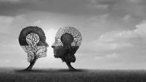 lecture de couple en design humain