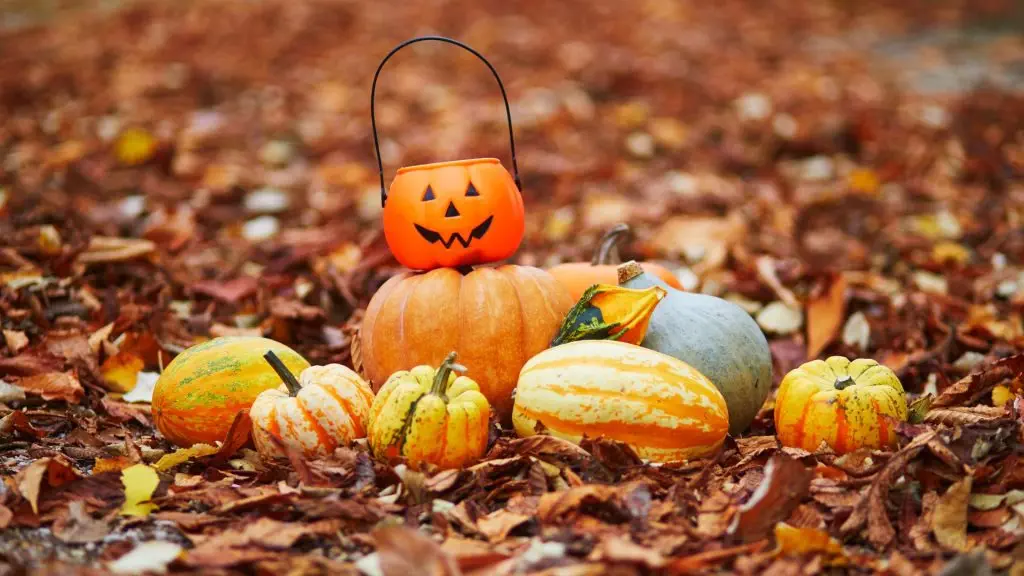 Célébration de Samhain en famille avec décoration d