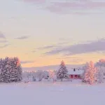 préparer-son-année-en-janvier